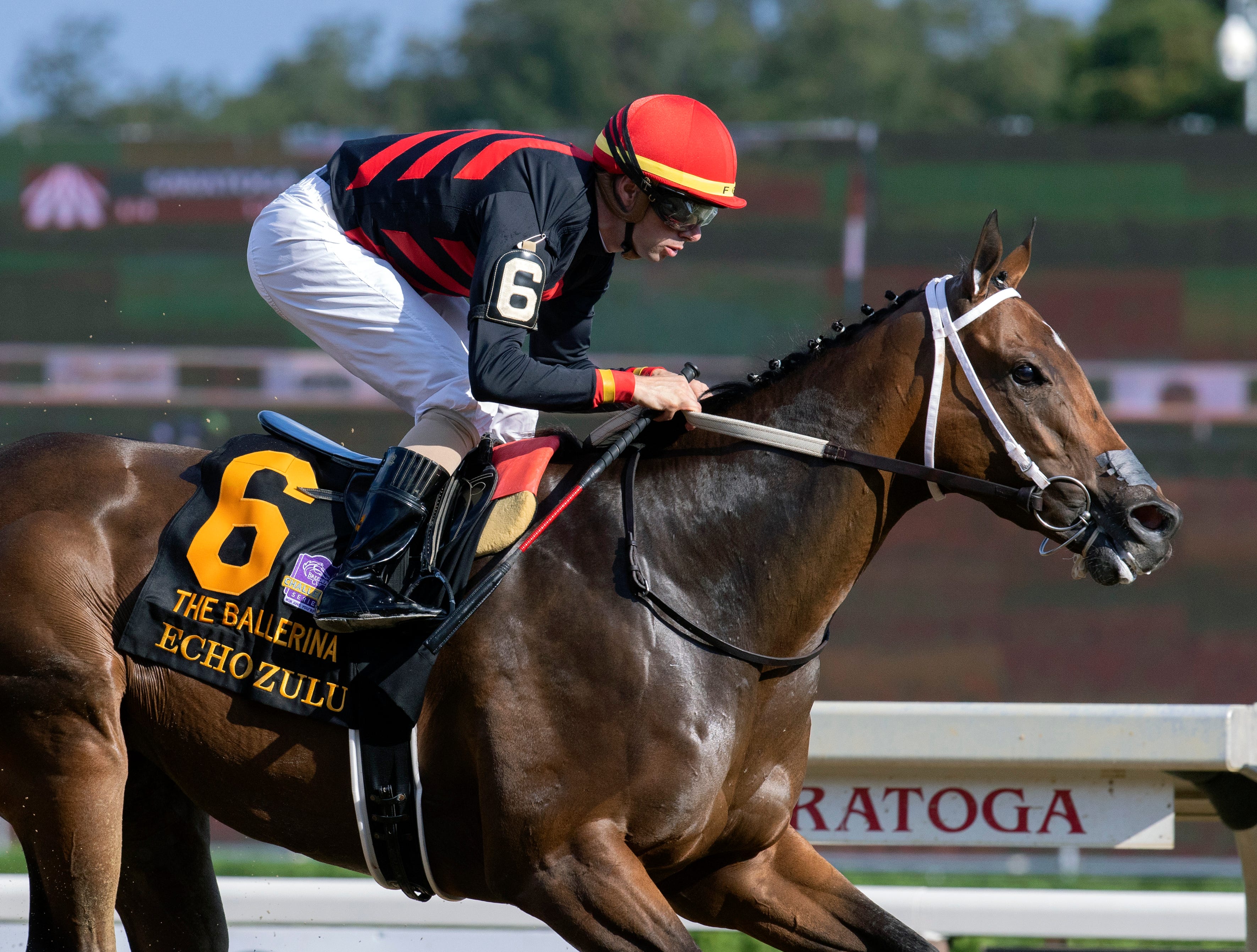 Echo zulu gunite have left marks on saratoga main track